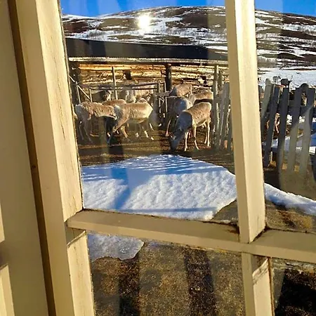 Fjellstue Og Hotel