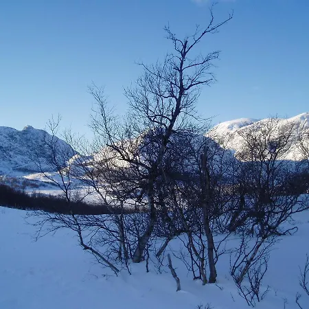 Hotel Fjellstue Og 3*