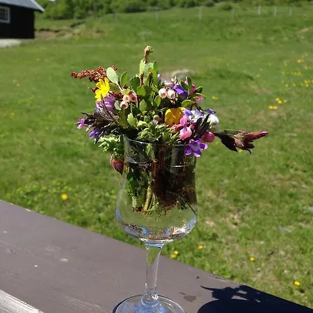 Hotell Fjellstue Og 3*