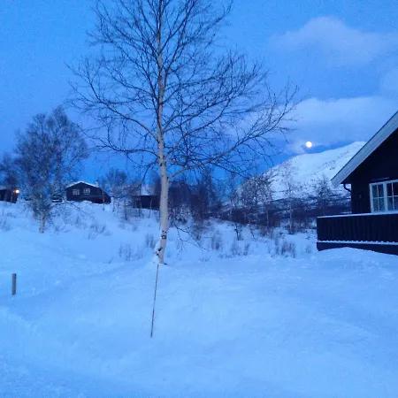 Hotel Fjellstue Og 3*