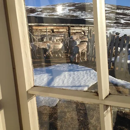 Hotell Fjellstue Og Bessheim