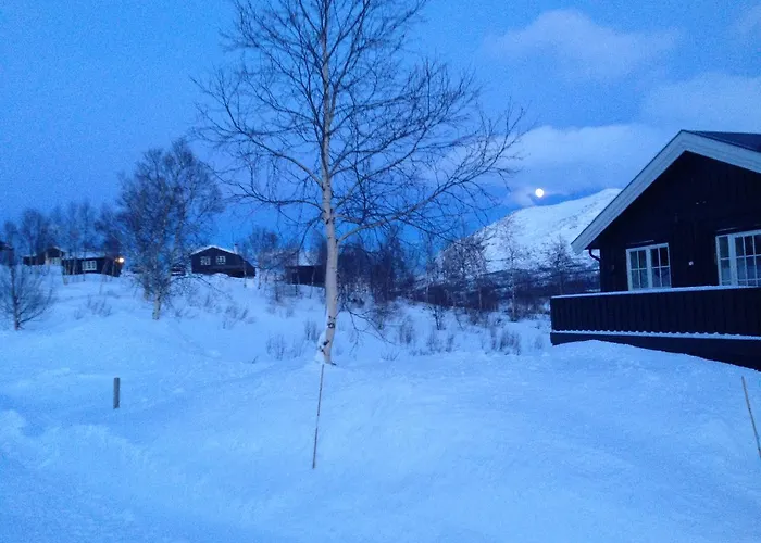 Hotel Fjellstue Og 3*