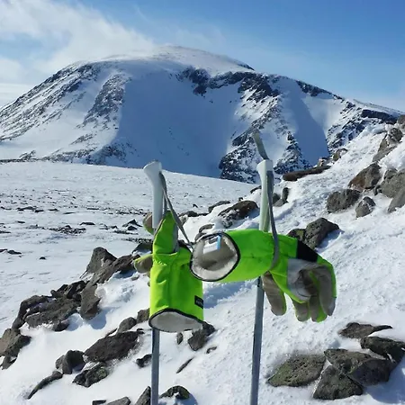 מלון Fjellstue Og