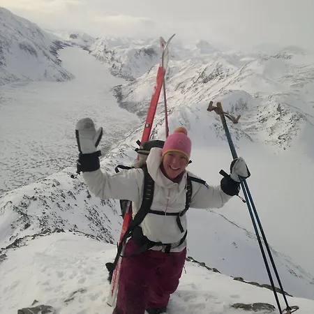 מלון Fjellstue Og 3*